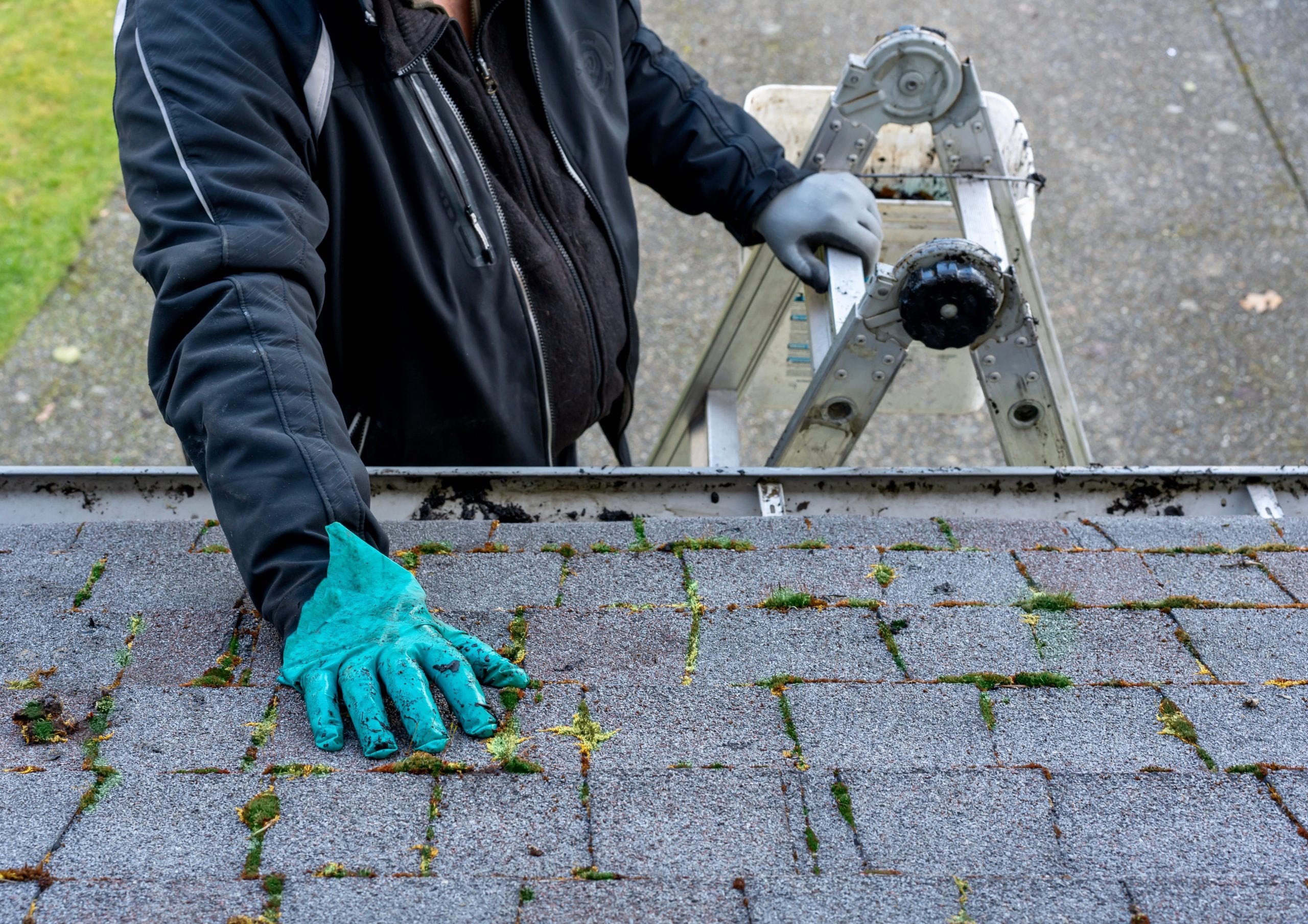 Man inspecting and cleaning dirty moss-covered roof roof cleaning